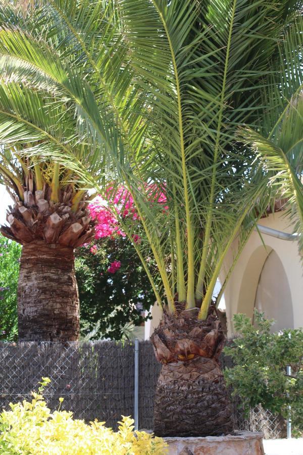 Casa Caliente Villa ซานตานยี ภายนอก รูปภาพ